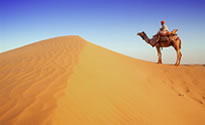 Political Rajasthan Royals Tour Packages